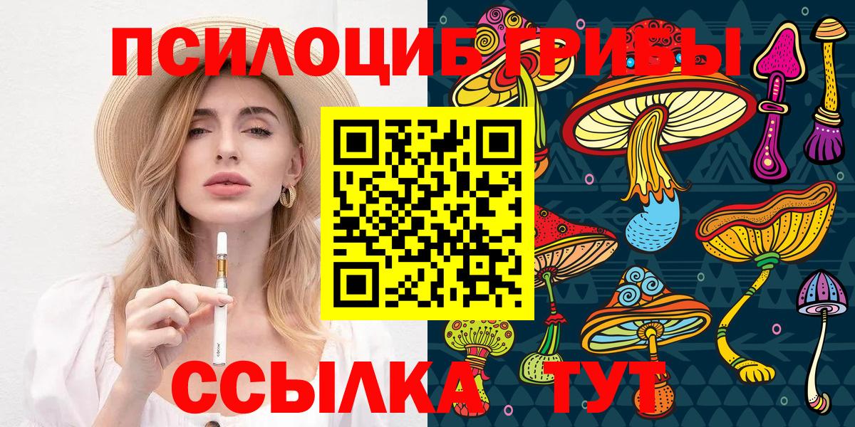 Дзержинск  Псилоцибиновые грибы Magic Shrooms  Вход с VPN  что такое   Галлюциногенные грибы Magic Shrooms 