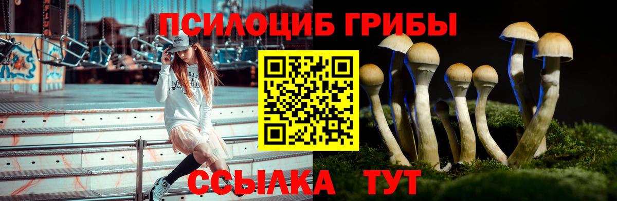 Галлюциногенные грибы прущие грибы Дзержинск